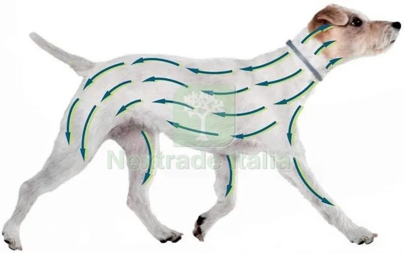 Seresto Bayer Collare per cani fino 8 kg Antiparassitario — Protezione piante e sementi — rif. FERX.94218.3 — foto 2 Seresto Bayer Collare per cani fino 8 kg Antiparassitario — Protezione piante e sementi — rif. FERX.94218.3 — foto 2