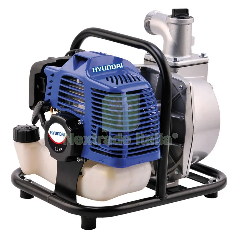 MOTOPOMPA AUTOADESCANTE 'LDWP520' Hp 2,0 - cc 52 — Pompe — rif. FERX.6036600NLM