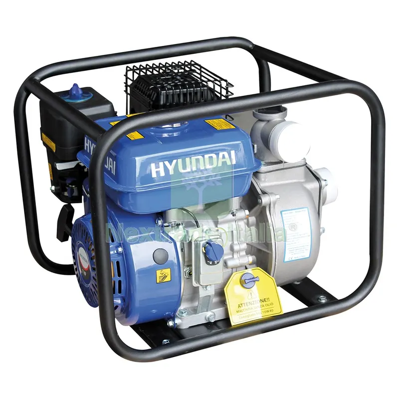 MOTOPOMPA AUTOADESCANTE 'LT20CX-168F' Hp 7,0 - cc 202 — Pompe — rif. FERX.6036610NLM