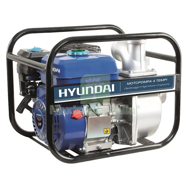MOTOPOMPA AUTOADESCANTE A DOPPIA GIRANTE 'WP50H-2' Hp 7 - cc 208 — Pompe — rif. FERX.6036616NLM MOTOPOMPA AUTOADESCANTE A DOPPIA GIRANTE 'WP50H-2' Hp 7 - cc 208 — Pompe — rif. FERX.6036616NLM