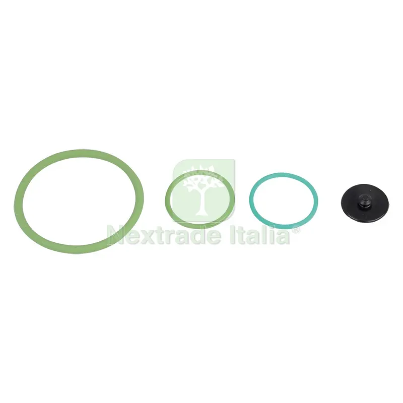 Kit Guarnizioni per Pompa Irroratrice per tipo Ares — Attrezzi da giardino — rif. FERX.604136NLM