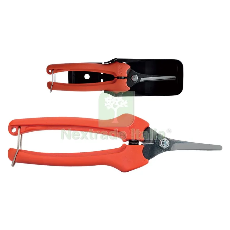 FORBICI COGLIUVA cm 19 - art. P129-19 — Misurazione e taglio manuale — rif. FERX.601939NLM