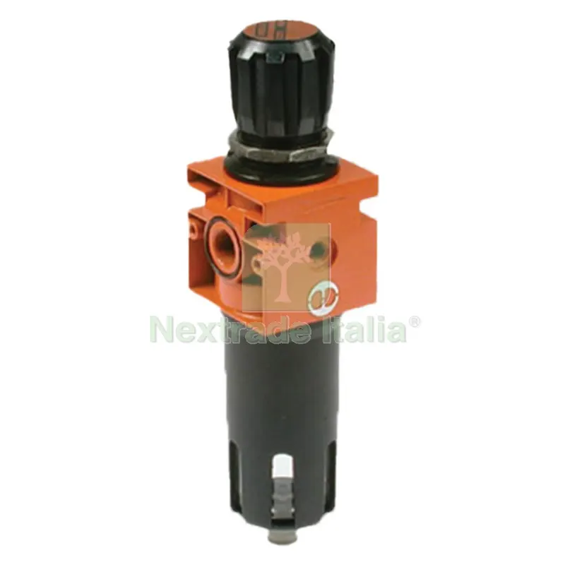 Corpo Filtro Regolatore per Abbacchiatore 'enercomp' 1/4 - per Enercomp — Attrezzi da giardino — rif. FERX.6090793NLM