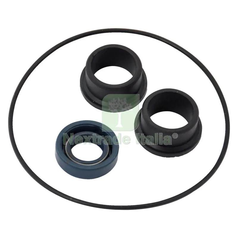 KIT GUARNIZIONI PER ELETTROPOMPA cf. 4 pz - per BE-M 25 — Pompe — rif. FERX.6080153NLM KIT GUARNIZIONI PER ELETTROPOMPA cf. 4 pz - per BE-M 25 — Pompe — rif. FERX.6080153NLM