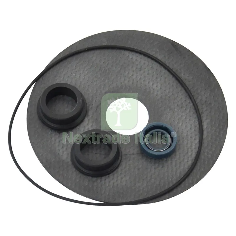 KIT GUARNIZIONI PER ELETTROPOMPA cf. 5 pz - per BE-M 20 — Pompe — rif. FERX.6080150NLM KIT GUARNIZIONI PER ELETTROPOMPA cf. 5 pz - per BE-M 20 — Pompe — rif. FERX.6080150NLM