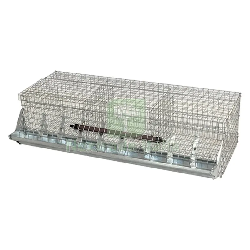 Gabbia Conigli Ingrasso Tre Fori cm 100 x 40 x H 27 — Docce e arredo acqua da giardino — rif. FERX.604726NLM Gabbia Conigli Ingrasso Tre Fori cm 100 x 40 x H 27 — Docce e arredo acqua da giardino — rif. FERX.604726NLM