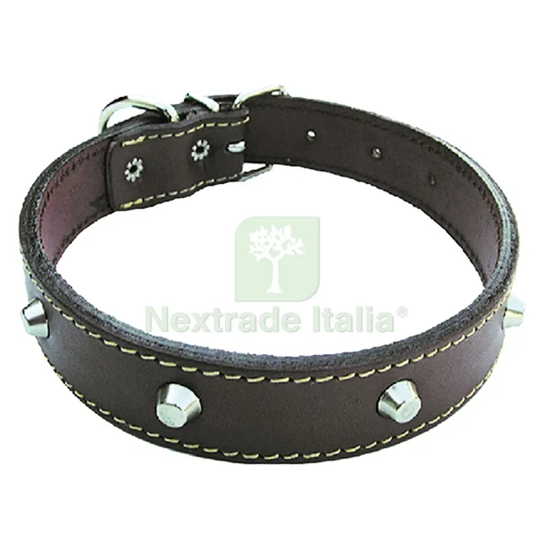 6PZ COLLARE PER CANE larg. mm 25 lung. cm 55 — Fascette e collari — rif. FERX.605760NLM 6PZ COLLARE PER CANE larg. mm 25 lung. cm 55 — Fascette e collari — rif. FERX.605760NLM
