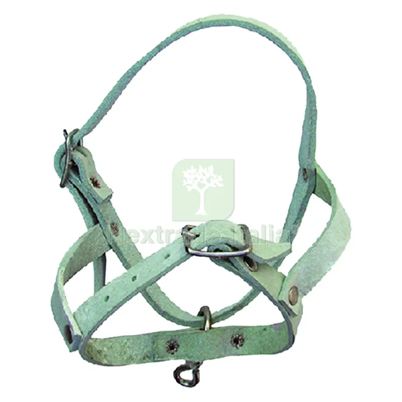 Capezza per Pecora in bufalo — Tempo libero outdoor — rif. FERX.680040NLM Capezza per Pecora in bufalo — Tempo libero outdoor — rif. FERX.680040NLM
