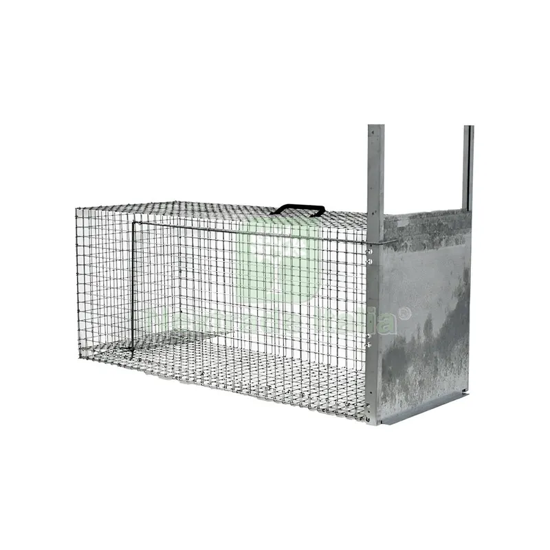 Trappola per Predatori Entrata Singola cm 97 x 38 x h 40 — Protezione piante e sementi — rif. FERX.6063470NLM Trappola per Predatori Entrata Singola cm 97 x 38 x h 40 — Protezione piante e sementi — rif. FERX.6063470NLM