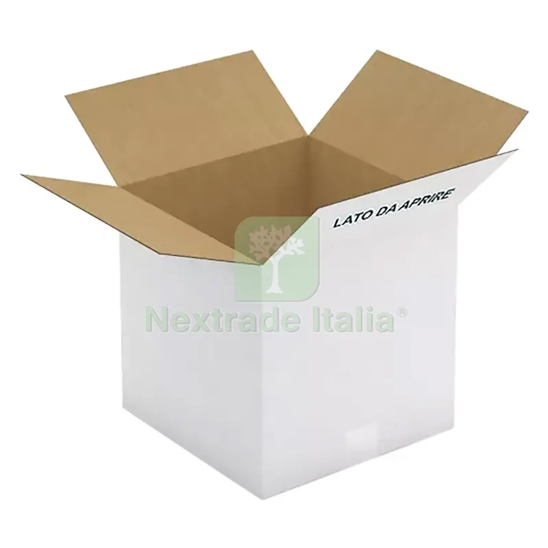 15PZ Scatola per Latte Olio in Cartone per 4 latte da 5 lt - cm 30,5 x 25 x h.31 — Casalinghi e organizzazione — rif. FERX.5071450NLM 15PZ Scatola per Latte Olio in Cartone per 4 latte da 5 lt - cm 30,5 x 25 x h.31 — Casalinghi e organizzazione — rif. FERX.5071450NLM