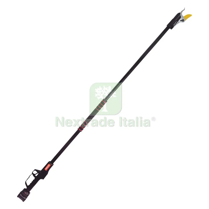 Potatore a Batteria 'AB2000 Titanio' 25,2V - 4 Ah Litio — Attrezzi da giardino — rif. FERX.6121285NLM