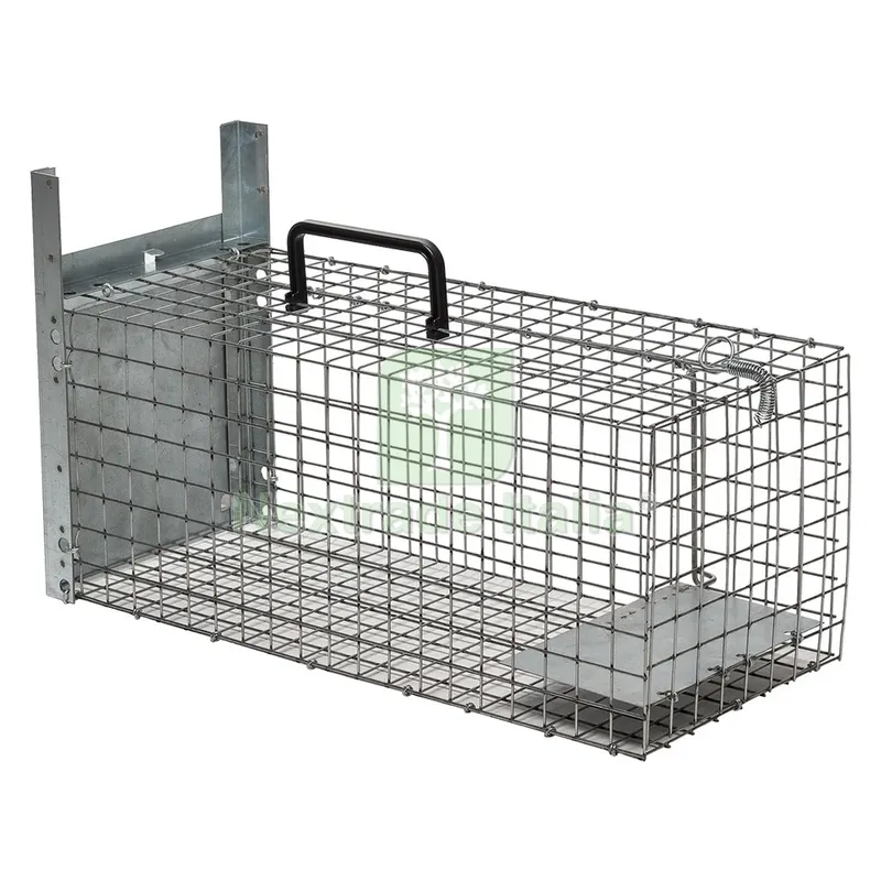 TRAPPOLA PER PREDATORI ENTRATA SINGOLA cm 52 x 21 x H. 21 — Protezione piante e sementi — rif. FERX.6063472NLM TRAPPOLA PER PREDATORI ENTRATA SINGOLA cm 52 x 21 x H. 21 — Protezione piante e sementi — rif. FERX.6063472NLM