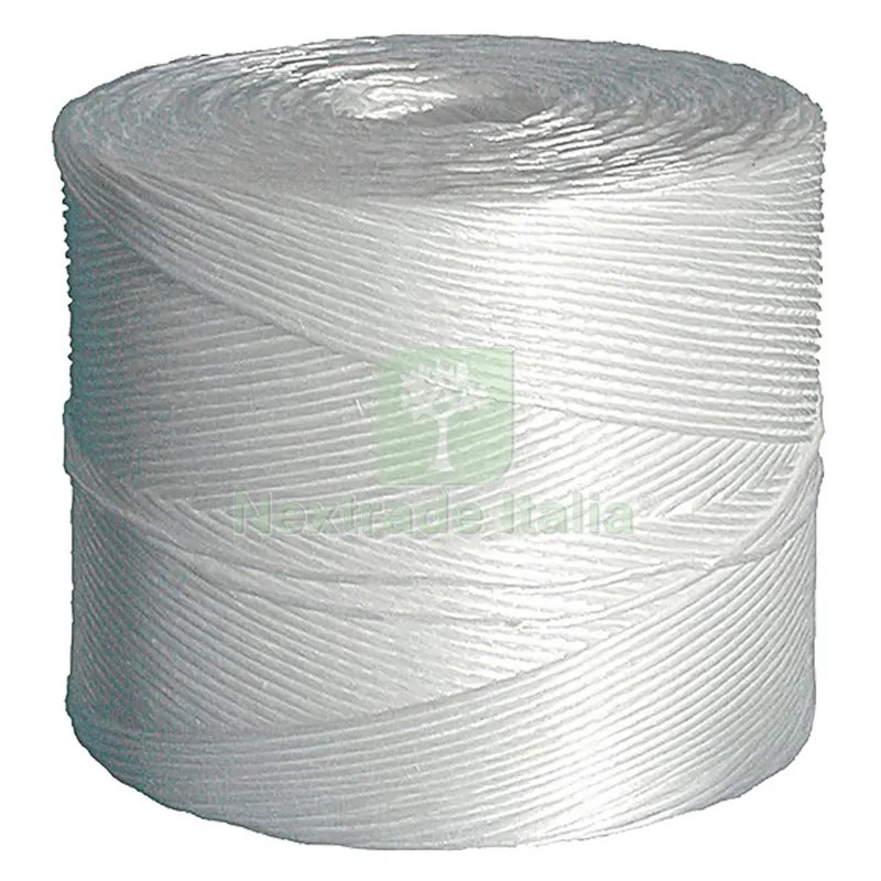 2RT Spago Agricolo in Polipropilene per Imballatrice Titolo 350 nx1 — Pile e batterie — rif. FERX.6083746NLM 2RT Spago Agricolo in Polipropilene per Imballatrice Titolo 350 nx1 — Pile e batterie — rif. FERX.6083746NLM
