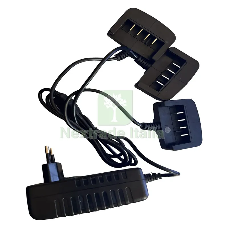 CARICA BATTERIA A 1 VIA 2.5 Ah - 21,6 W — Batterie e caricabatterie — rif. FERX.6040993NLM CARICA BATTERIA A 1 VIA 2.5 Ah - 21,6 W — Batterie e caricabatterie — rif. FERX.6040993NLM
