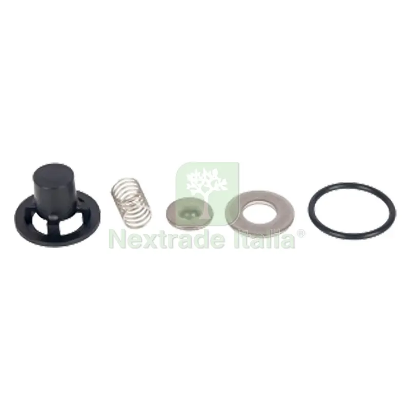 VALVOLE PER MOTOPOMPA IRRORATRICE kit 4 pezzi — Attrezzi da giardino — rif. FERX.6036596NLM VALVOLE PER MOTOPOMPA IRRORATRICE kit 4 pezzi — Attrezzi da giardino — rif. FERX.6036596NLM