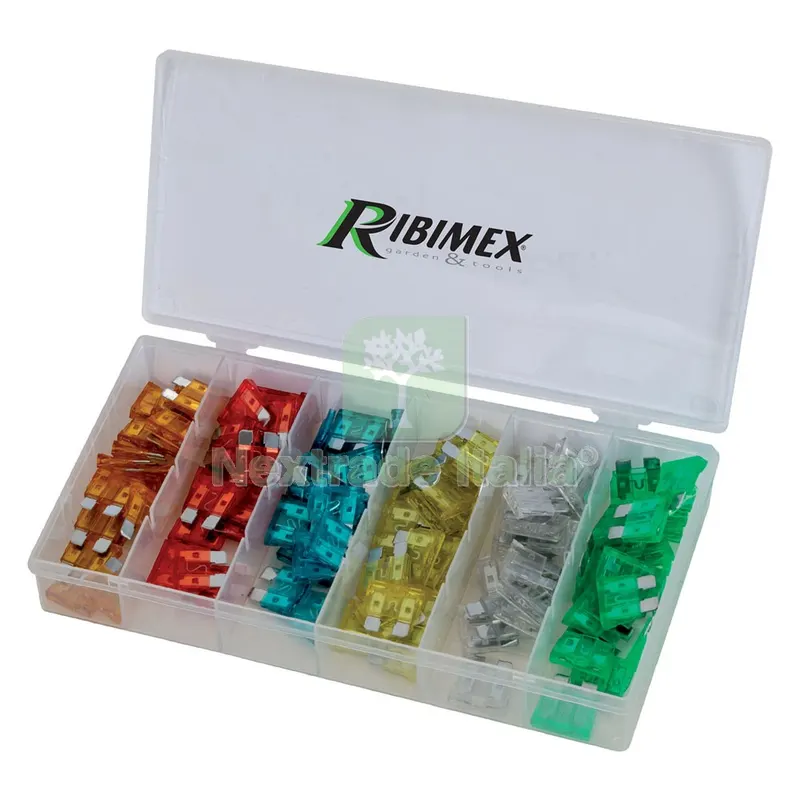 ASSORTIMENTO FUSIBILI 120 pezzi — Pile e batterie — rif. FERX.6060690NLM ASSORTIMENTO FUSIBILI 120 pezzi — Pile e batterie — rif. FERX.6060690NLM