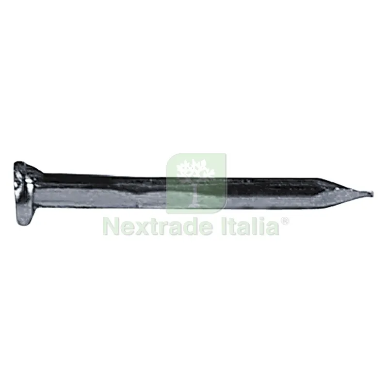 Chiodi Testa Piana Larga TPL mm 2,4x32 - gr. 100 — Chiodi e graffe — rif. FERX.010359NLM