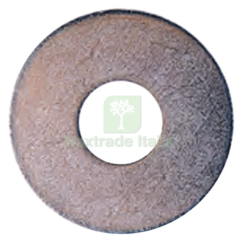 RONDELLA GREMBIALINA M 4 x 12 - pz. 50 — Bulloni, dadi e rondelle — rif. FERX.041460NLM RONDELLA GREMBIALINA M 4 x 12 - pz. 50 — Bulloni, dadi e rondelle — rif. FERX.041460NLM