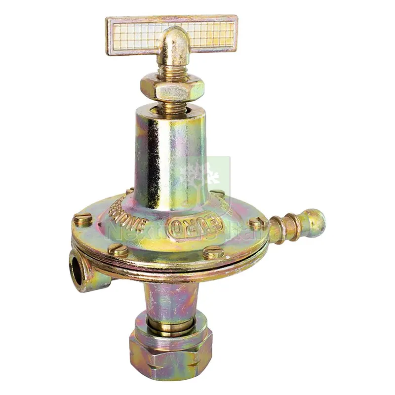 REGOLATORE GPL AD ALTA PRESSIONE 8 Kg/h - pz. 1 — Pompe — rif. FERX.020068NLM REGOLATORE GPL AD ALTA PRESSIONE 8 Kg/h - pz. 1 — Pompe — rif. FERX.020068NLM
