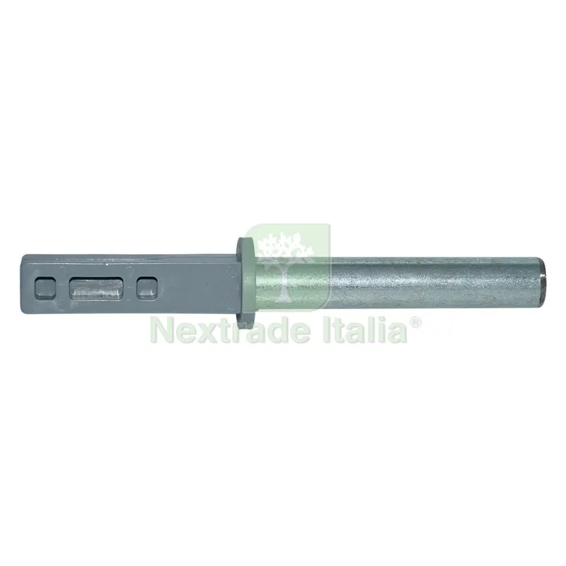 Asse Tipo Tondo/Quadro per spremipomodoro TS Pavi — Casalinghi e organizzazione — rif. FERX.801069NLM Asse Tipo Tondo/Quadro per spremipomodoro TS Pavi — Casalinghi e organizzazione — rif. FERX.801069NLM