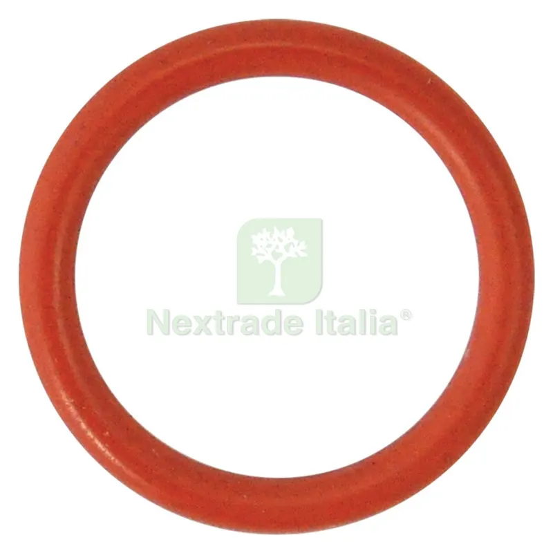 Guarnizione O-Ring per Perno per N 3 - mm 18,72 x 2,62 — Guarnizioni e tenute — rif. FERX.8400780NLM Guarnizione O-Ring per Perno per N 3 - mm 18,72 x 2,62 — Guarnizioni e tenute — rif. FERX.8400780NLM