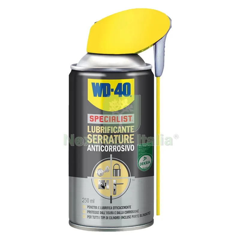 LUBRIFICANTE SERRATURE SPRAY ml 250 — Lubrificanti e oli — rif. FERX.9061630NLM