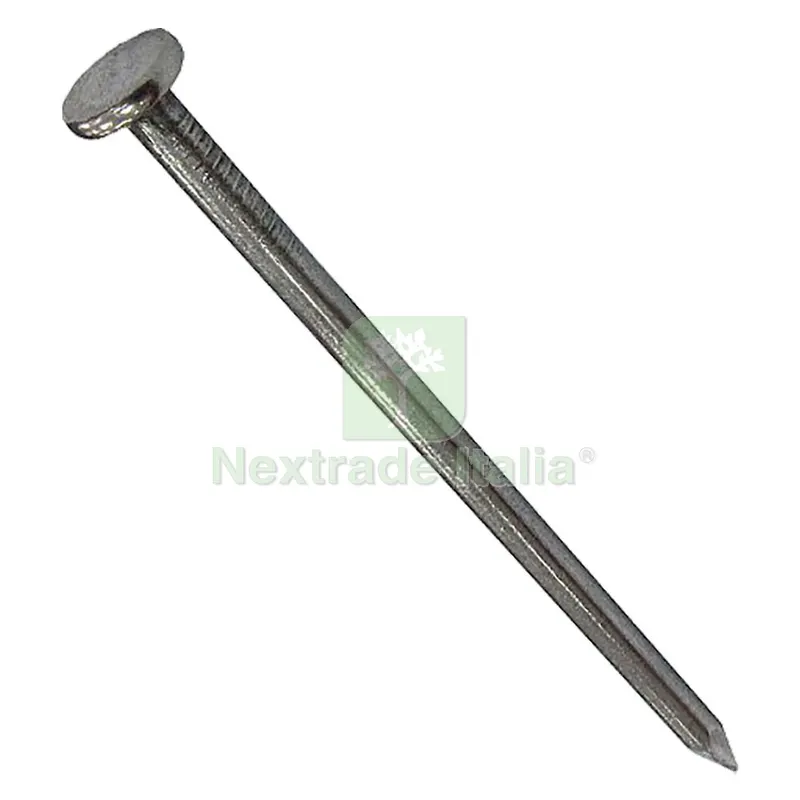 Chiodi Testa Piana 3,0 x 70 Gr 500 — Chiodi e graffe — rif. FERX.115099NLM Chiodi Testa Piana 3,0 x 70 Gr 500 — Chiodi e graffe — rif. FERX.115099NLM