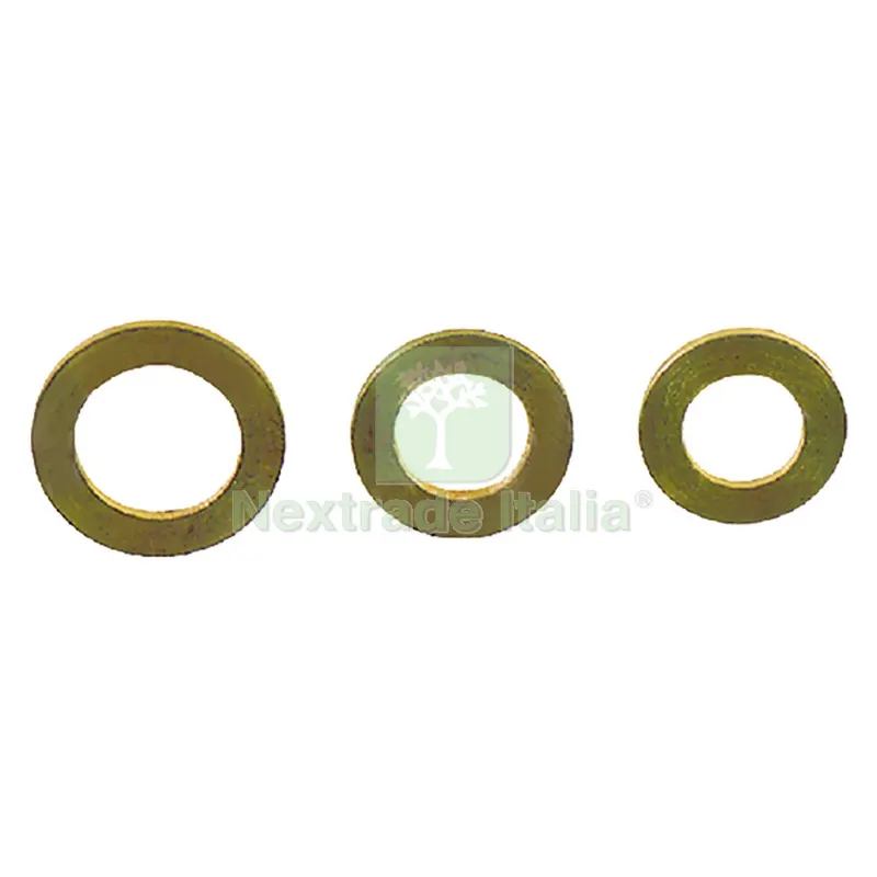 100PZ RONDELLA ALZAPORTA PER ANUBA mm 11 — Bulloni, dadi e rondelle — rif. FERX.3067544NLM