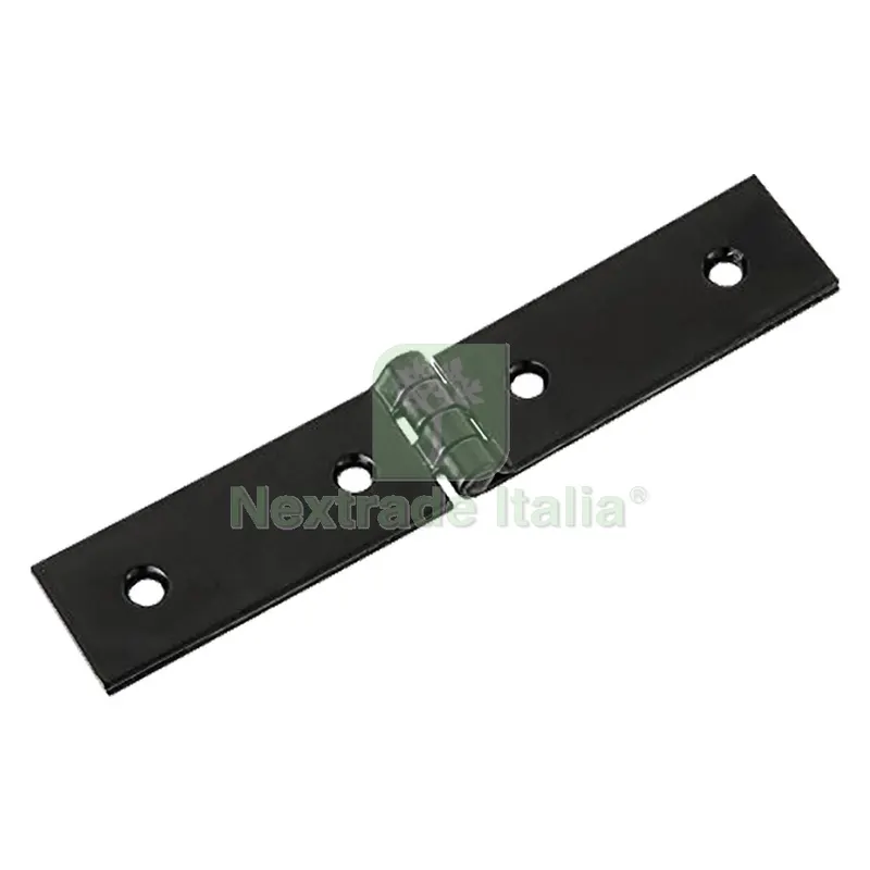 12PZ CERNIERA ASE mm 120 — Cerniere e cardini — rif. FERX.306228NLM