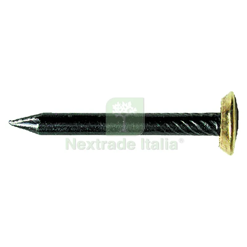 10CF CHIODI IN ACCIAIO 2 x 30 cf. 100 pz — Chiodi e graffe — rif. FERX.401484NLM 10CF CHIODI IN ACCIAIO 2 x 30 cf. 100 pz — Chiodi e graffe — rif. FERX.401484NLM