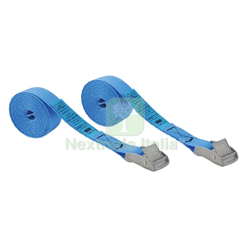 NASTRO DI FISSAGGIO CON FIBBIA mt.2,5 x mm 25 cf 1pz — Adesivi e sigillanti — rif. FERX.3106390NLM