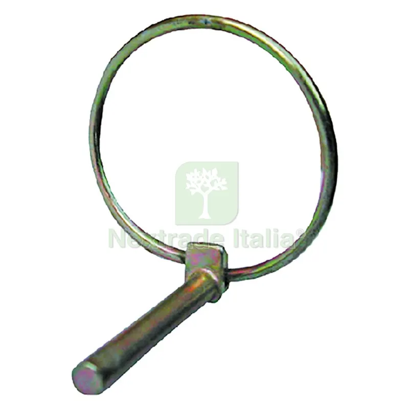 50PZ SPINA A SCATTO TONDA mm 6 — Interruttori e prese — rif. FERX.315908NLM 50PZ SPINA A SCATTO TONDA mm 6 — Interruttori e prese — rif. FERX.315908NLM