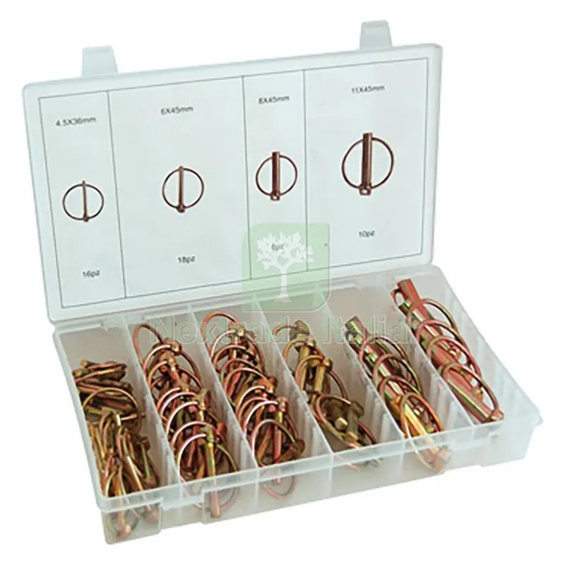 Assortimento Spine a Scatto totale 50 pz — Interruttori e prese — rif. FERX.3159210NLM Assortimento Spine a Scatto totale 50 pz — Interruttori e prese — rif. FERX.3159210NLM