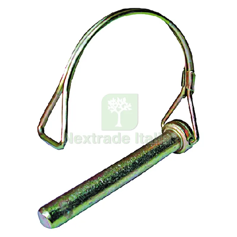 10PZ Spina per Motozappa mm 10 lungh. mm 80 — Attrezzi da giardino a motore — rif. FERX.315844NLM