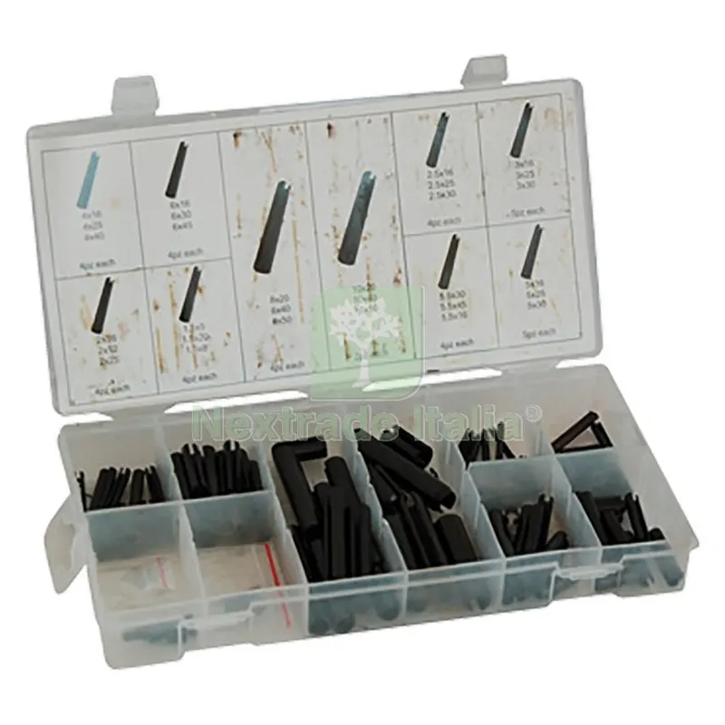 Assortimento Spine Elastiche totale 120 pz — Interruttori e prese — rif. FERX.3158920NLM
