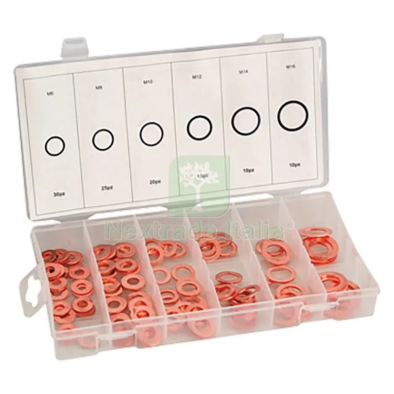 Assortimento Rondelle Rame totale 110 pz — Bulloni, dadi e rondelle — rif. FERX.3158928NLM Assortimento Rondelle Rame totale 110 pz — Bulloni, dadi e rondelle — rif. FERX.3158928NLM