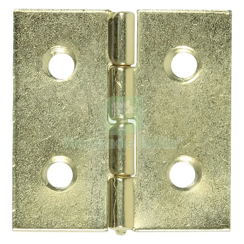 1000PZ Cerniera Ottonata mm 20 x 13 — Cerniere e cardini — rif. FERX.3061424NLM