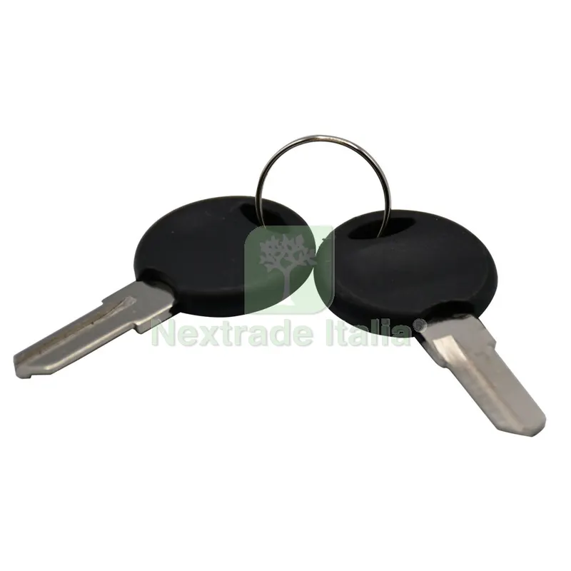2PZ Chiave per Serrature Mobili '9321' non cifrata — Serrature e cilindri — rif. FERX.300784NLM