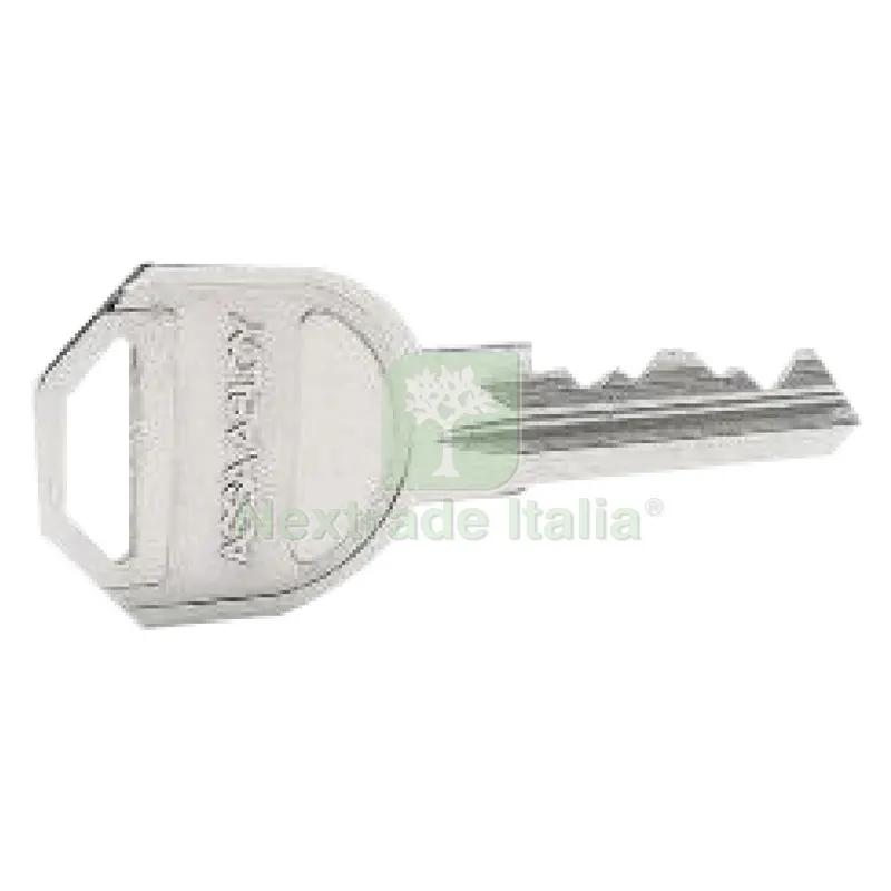 10PZ Chiave Testa Metallo 6 perni — Chiavi e bussole — rif. FERX.3022358NLM