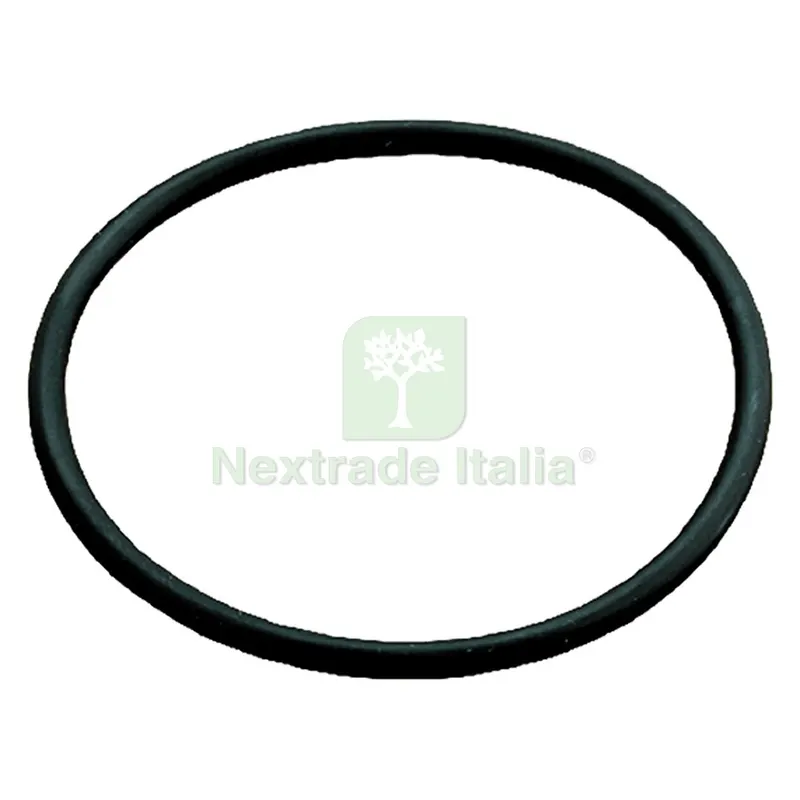 6PZ GUARNIZIONI O.RING 3/4 - 1 — Guarnizioni e tenute — rif. FERX.615125NLM 6PZ GUARNIZIONI O.RING 3/4 - 1 — Guarnizioni e tenute — rif. FERX.615125NLM