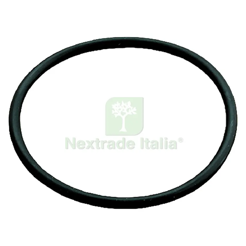 6PZ GUARNIZIONE O.RING 2 - per art. 615208 — Guarnizioni e tenute — rif. FERX.6151248NLM 6PZ GUARNIZIONE O.RING 2 - per art. 615208 — Guarnizioni e tenute — rif. FERX.6151248NLM