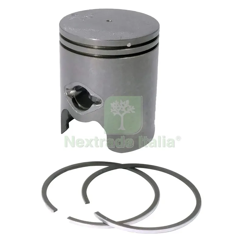 PISTONE per PG-26HT — Attrezzi da giardino — rif. FERX.6110250NLM