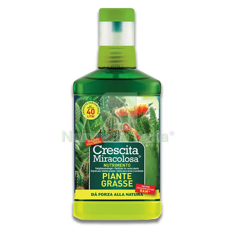 CONCIME LIQUIDO 'PIANTE GRASSE' ml 200 — Protezione piante e sementi — rif. FERX.6133020NLM CONCIME LIQUIDO 'PIANTE GRASSE' ml 200 — Protezione piante e sementi — rif. FERX.6133020NLM