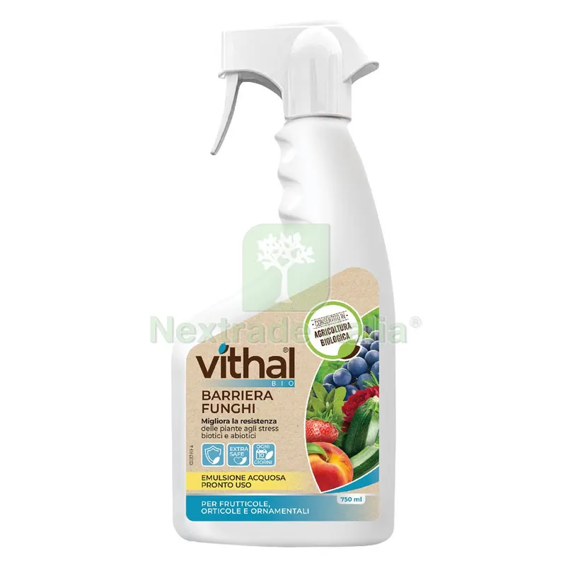 LIQUIDO BIO BARRIERA FUNGHI Ml. 750 — Protezione piante e sementi — rif. FERX.6135144NLM LIQUIDO BIO BARRIERA FUNGHI Ml. 750 — Protezione piante e sementi — rif. FERX.6135144NLM
