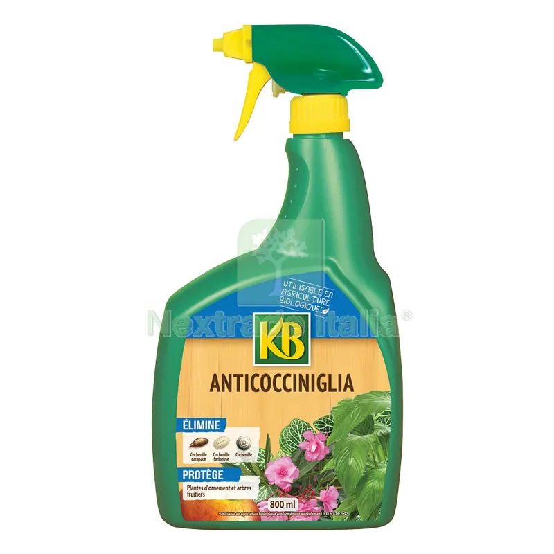 OLIO DI COLZA ANTI COCCINIGLIA Ml. 800 — Protezione piante e sementi — rif. FERX.6237290NLM OLIO DI COLZA ANTI COCCINIGLIA Ml. 800 — Protezione piante e sementi — rif. FERX.6237290NLM
