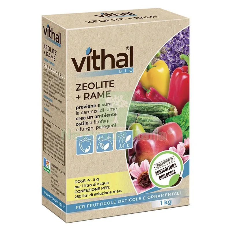 ZEOLITE CON RAME POLVERE MICRONIZZATA Kg.1 — Cemento, malte e collanti edili — rif. FERX.6237208NLM ZEOLITE CON RAME POLVERE MICRONIZZATA Kg.1 — Cemento, malte e collanti edili — rif. FERX.6237208NLM