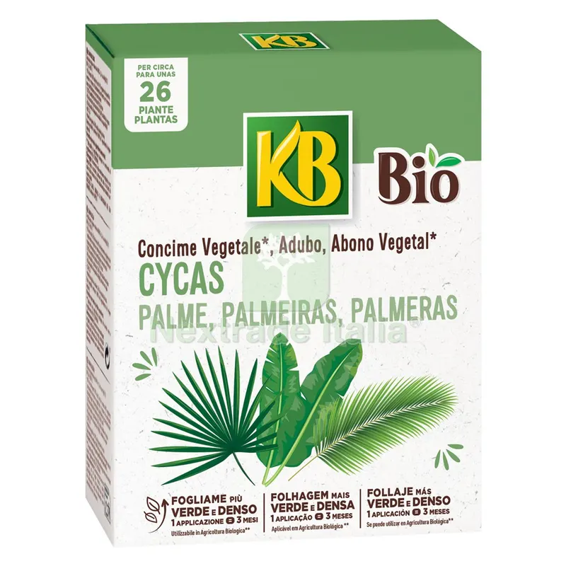Concime Granulare 'cycas e Palme' Gr. 650 — Protezione piante e sementi — rif. FERX.6127241NLM