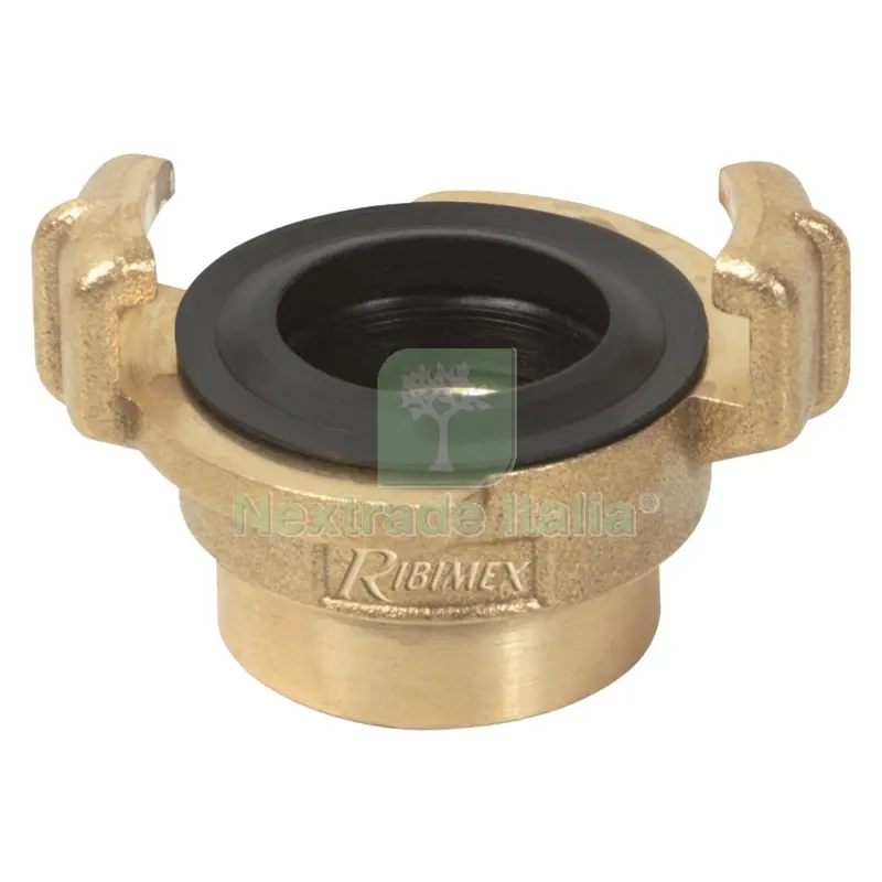 Raccordo Rapido Femmina 3/4 nx1 — Tubi e raccordi — rif. FERX.5038206NLM