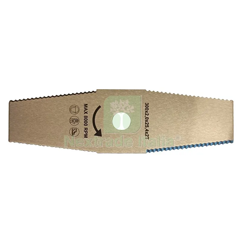LAMA A 2 DENTI mm 300 x 2,0 x 25,4 x 2 T — Punte, frese e dischi — rif. FERX.6107560NLM