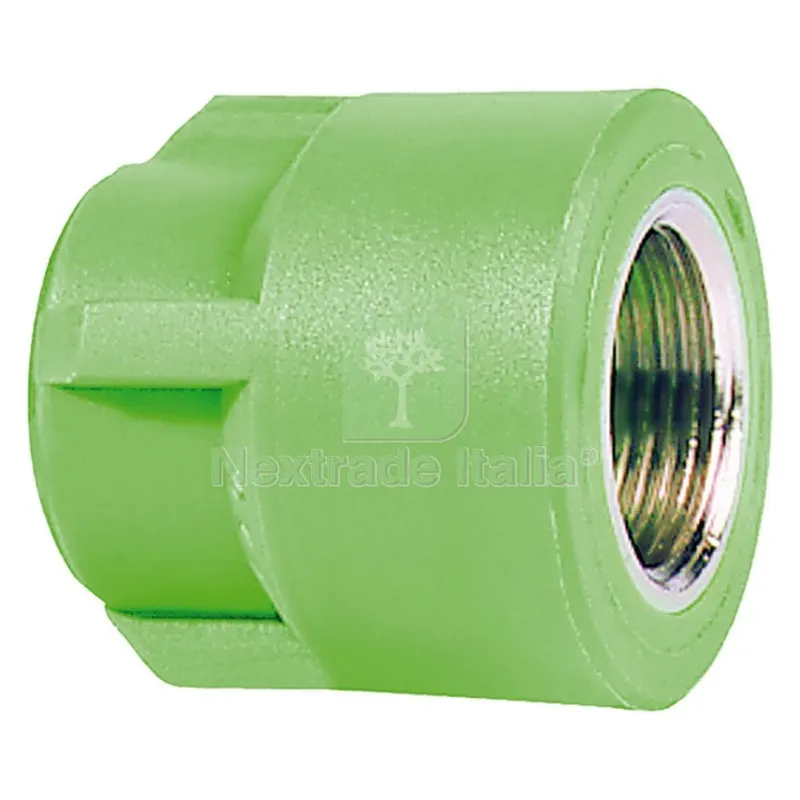 10PZ RACCORDO FILETTATO FEMMINA 20 x 1/2 — Tubi e raccordi — rif. FERX.209730NLM 10PZ RACCORDO FILETTATO FEMMINA 20 x 1/2 — Tubi e raccordi — rif. FERX.209730NLM